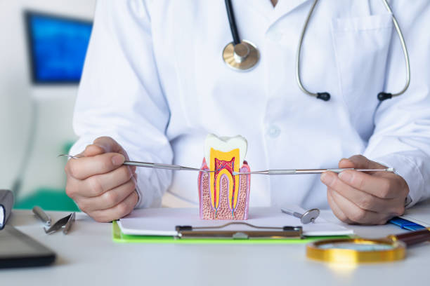 Best Emergency Treatment for Dental Infections or Abscesses in Cuba City, WI